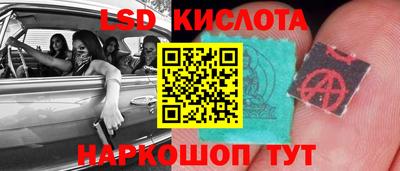 ПСИЛОЦИБИНОВЫЕ ГРИБЫ Вышний Волочёк