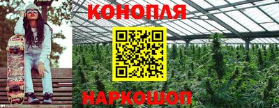 ПСИЛОЦИБИНОВЫЕ ГРИБЫ Вышний Волочёк