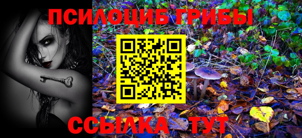 Галлюциногенные грибы ЛСД Березники